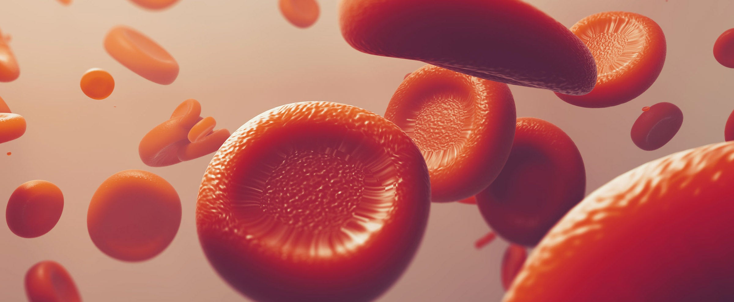 Welche Nährstoffe das Blut gesund halten