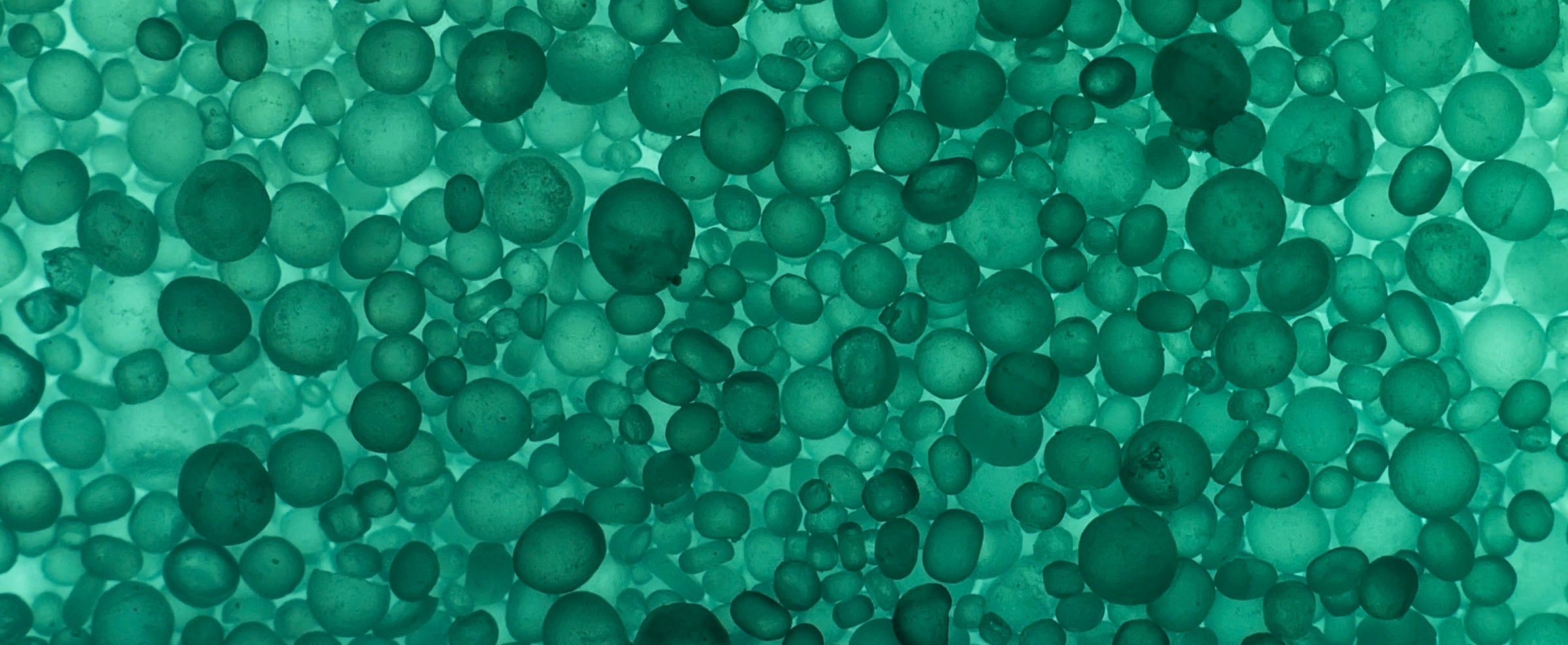 N-Acetylcystein (NAC) in der Nahrungsergänzung