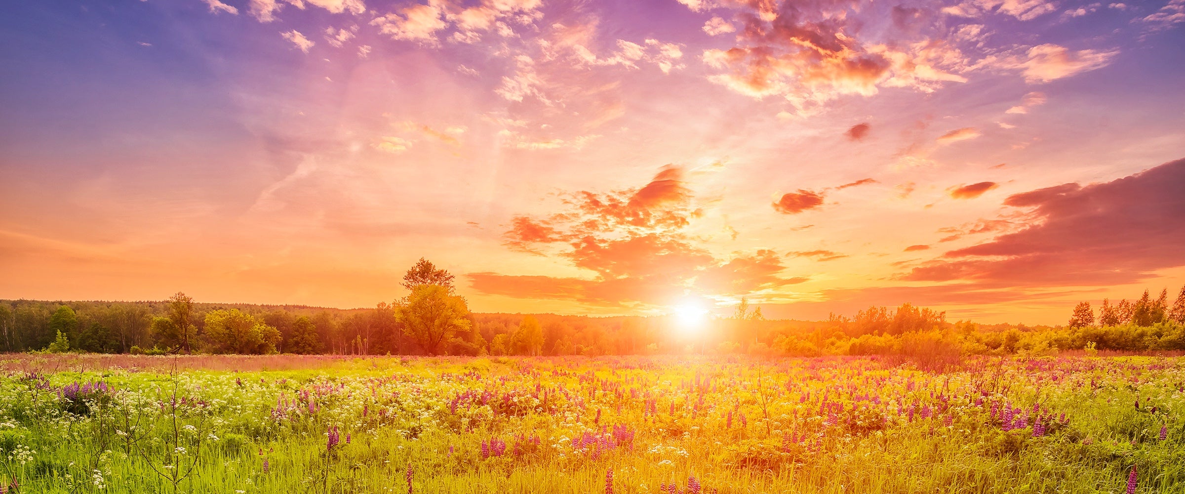 Ist Vitamin D ohne Vitamin K gesundheitsschädlich?