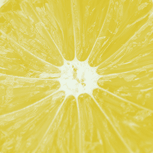 <p>Zitrone