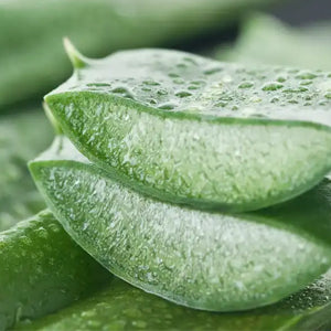<p>Aloe Vera