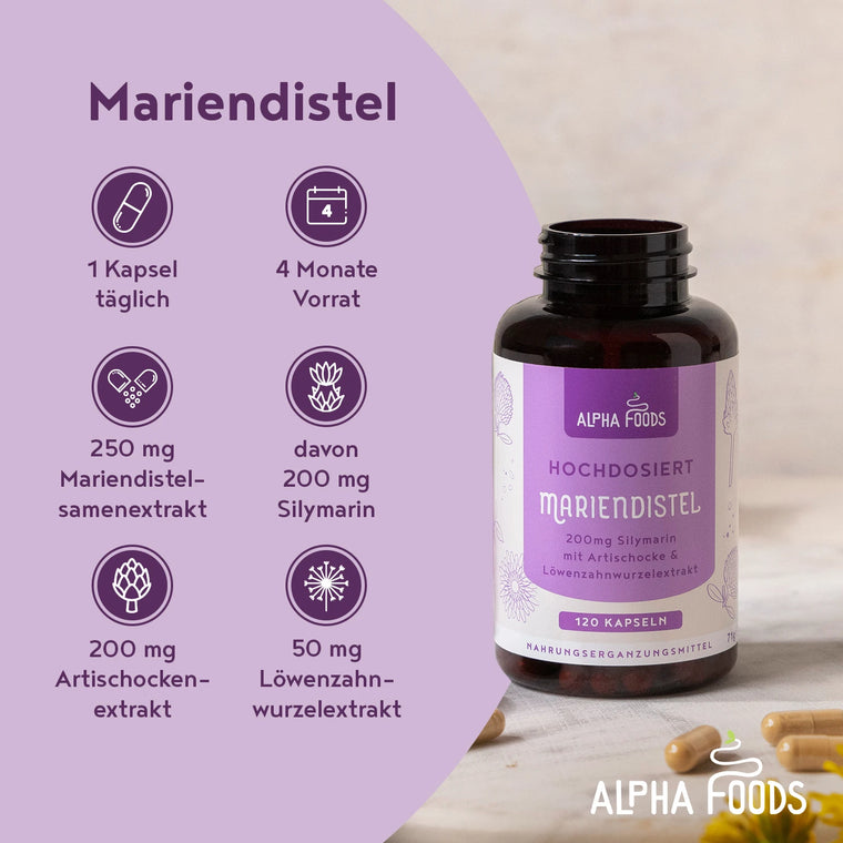 Mariendistel