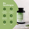 Gerstengras