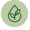 image + Alpha Foods Deutschland
