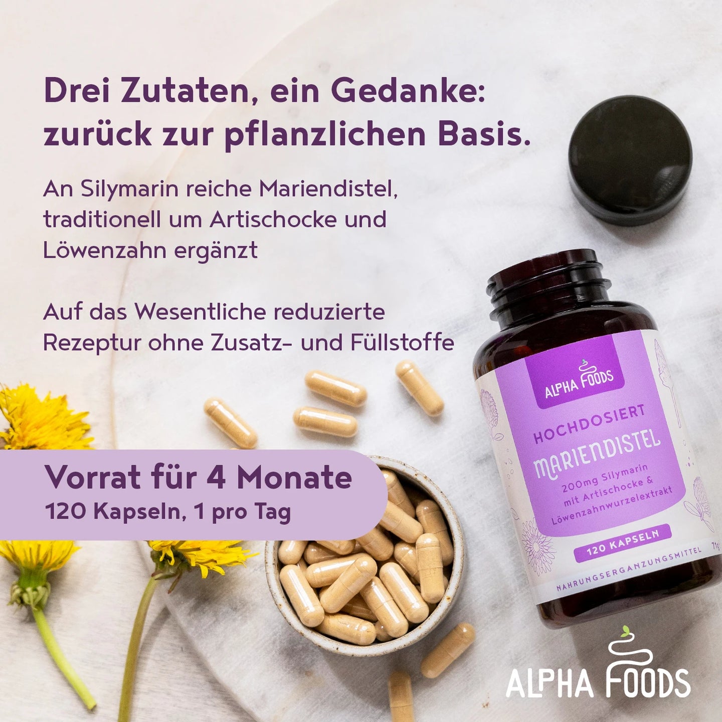Mariendistel