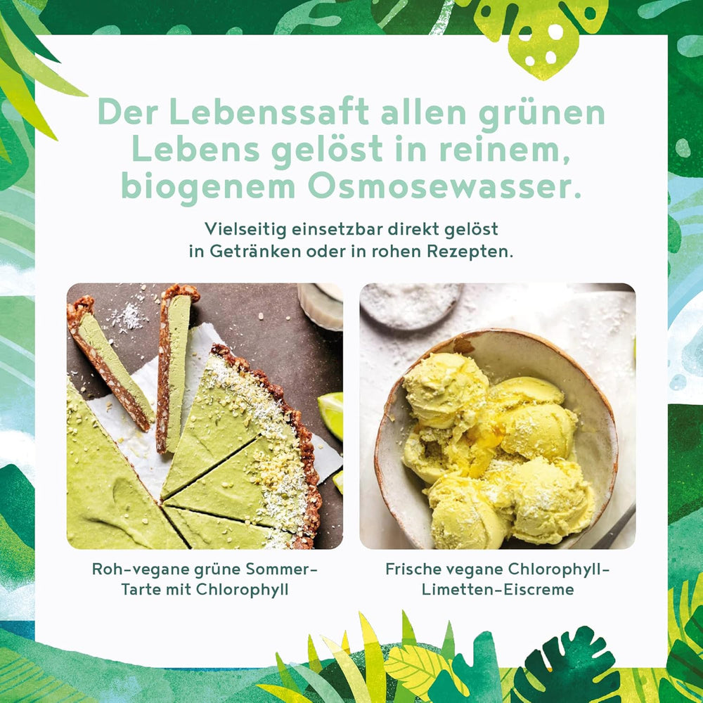 Chlorophyll Tropfen Flüssiges Chlorophyll aus Weizengras, Alfalfa und Chlorella