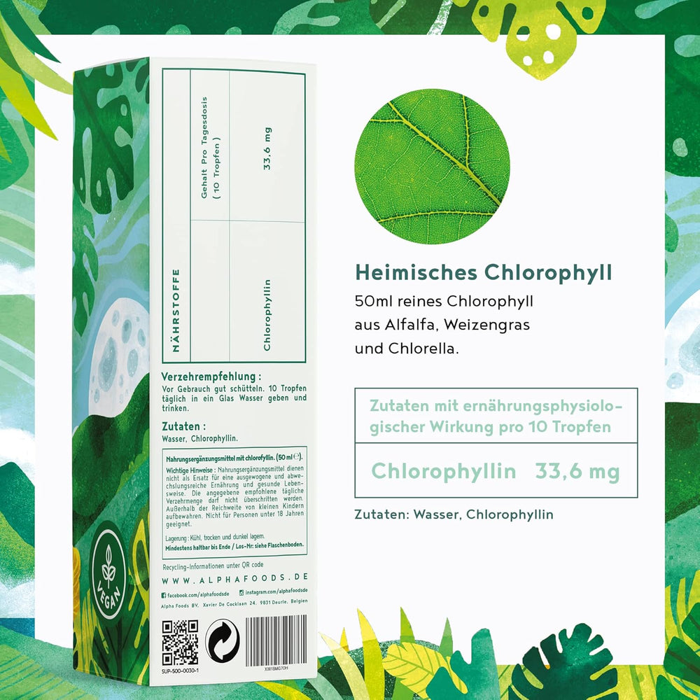 Chlorophyll Tropfen Flüssiges Chlorophyll aus Weizengras, Alfalfa und Chlorella
