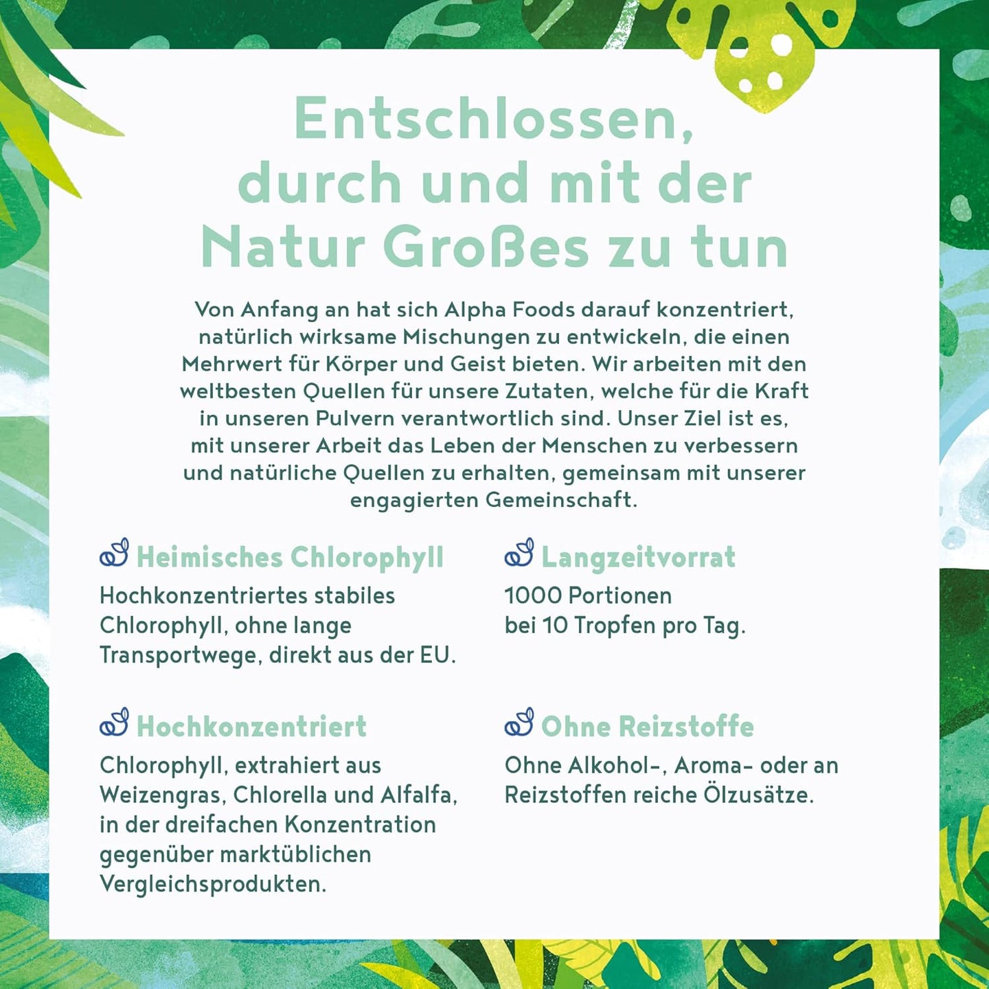 Chlorophyll Tropfen Flüssiges Chlorophyll aus Weizengras, Alfalfa und Chlorella