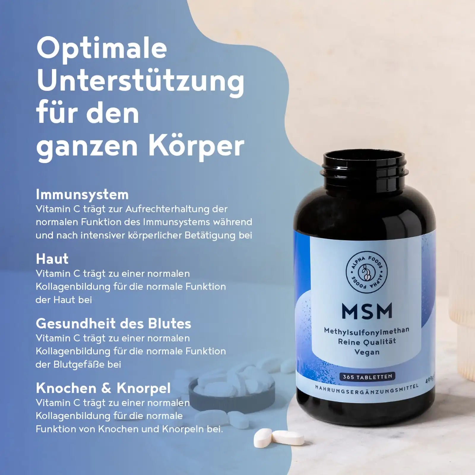 A+ One - MSM mit Vitamin C