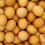 Kollagen aus Eierschalenmembran ESM® (Typ I, V und X)