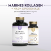 Marine Collagen mit Hyaluron und Magnesium 150 Kapseln