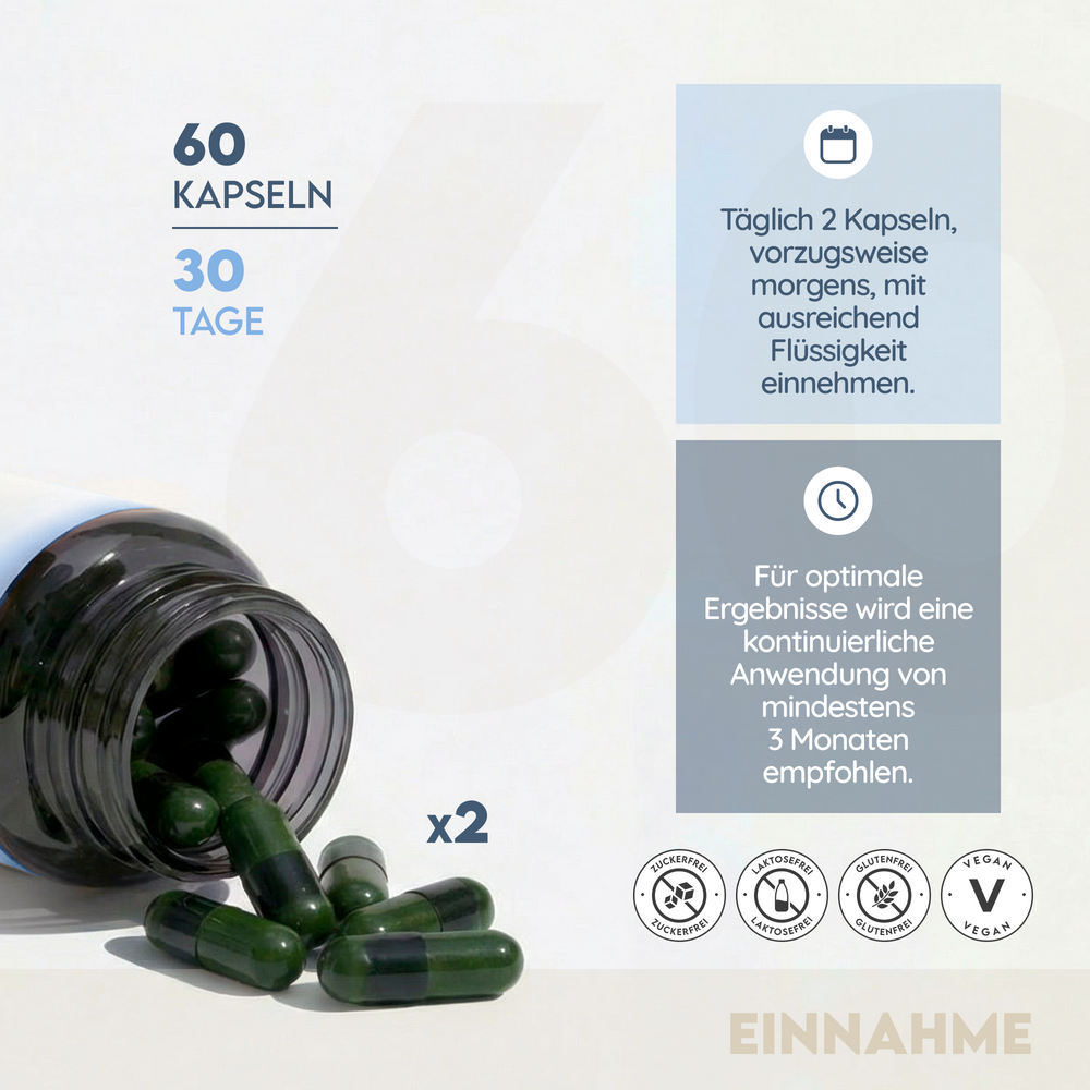 Zen Biotics - Ashwagandha mit Tryptophan un Magnesium. 60 Kapseln