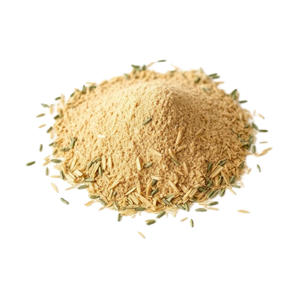 image + Alpha Foods Deutschland