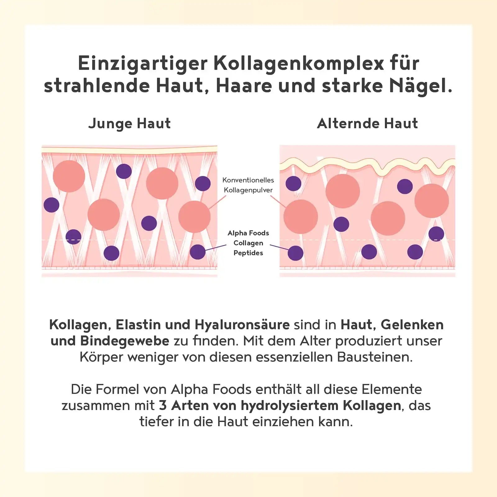 A+ Four - Collagen mit Elastin & Hyaluronsäure - Himbeere