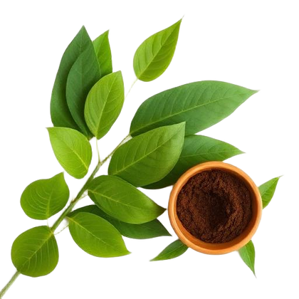 Curryblatt
