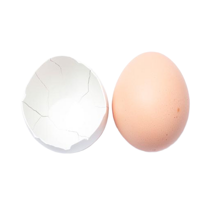 ESM® Eierschalenmembran