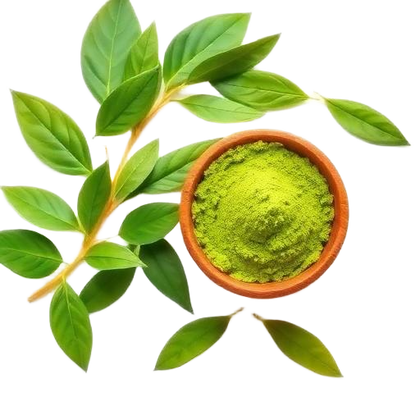 Grüner Tee