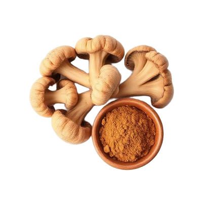 Maitake