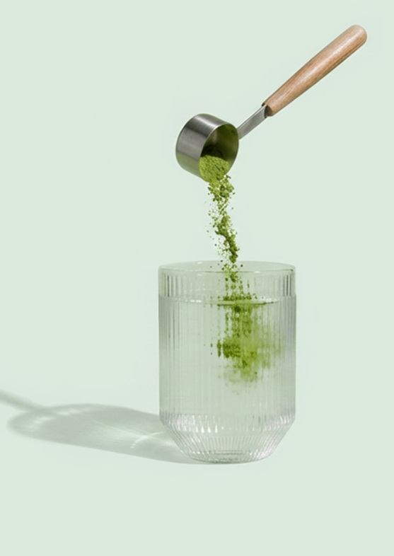 image + Alpha Foods Deutschland