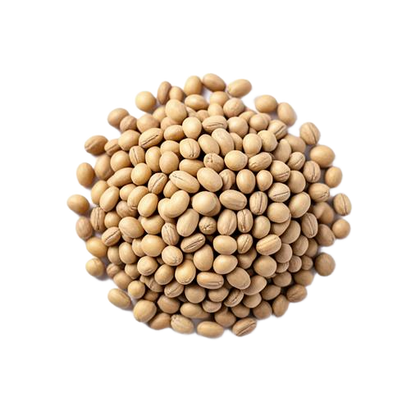 Kein Sojaprotein