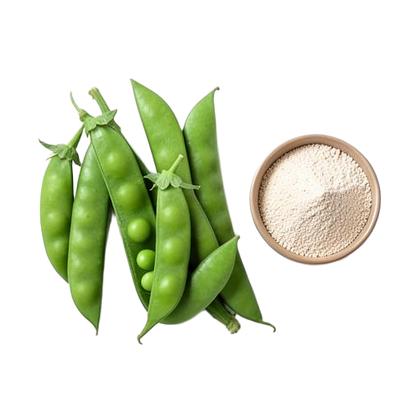 Erbsenprotein