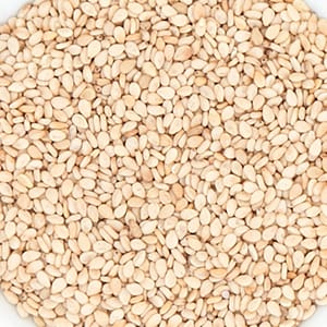 <p>Quinoa-Sprossen