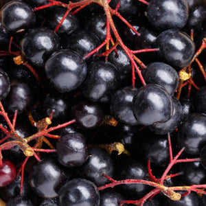 <p>Aronia