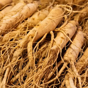 <p>Ginseng