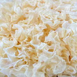 <p>Tremella