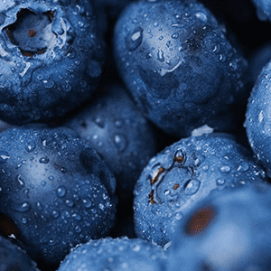 <p>Blaubeeren