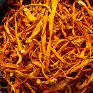 <p>Cordyceps-Fruchtkörper-Extrakt