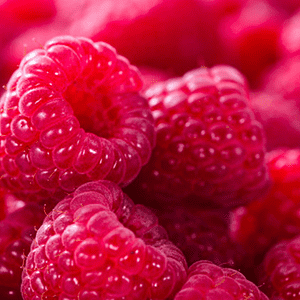 <p>Himbeere