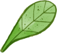 leaf