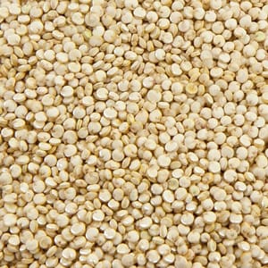 <p>Quinoa